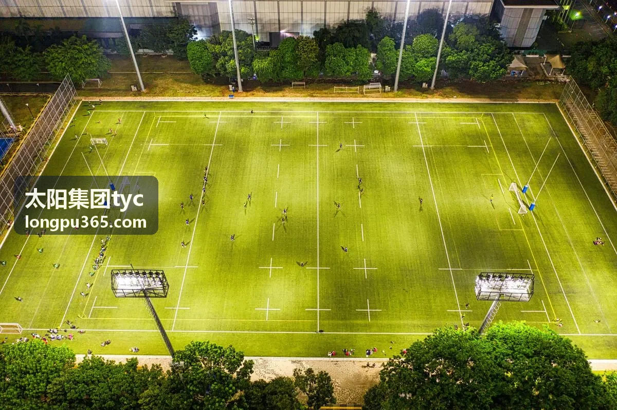 太阳集团tyc光伏电站项目实景